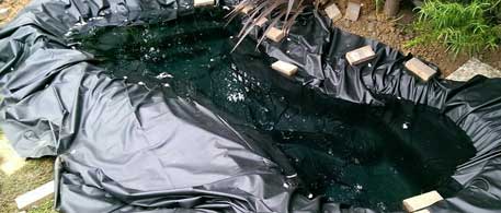 Qualities of this rubber pond liner far exceeds that of PVC which is better suited to small ponds