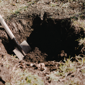Planning a digging a pond in your garden