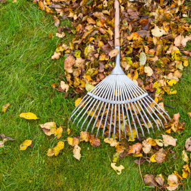 Here are a few autumn gardening ideas to keep you outdoors and your pond healthy