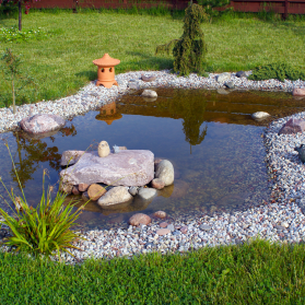 A wildlife guide to attracting a variety of species to your garden pond