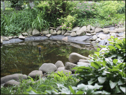 Size matters: pond liners and water feature design