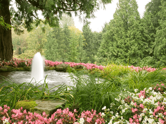 Explore the new Pond Liners Online website with improved navigation, pond planning tools, expert advice and easier product browsing.