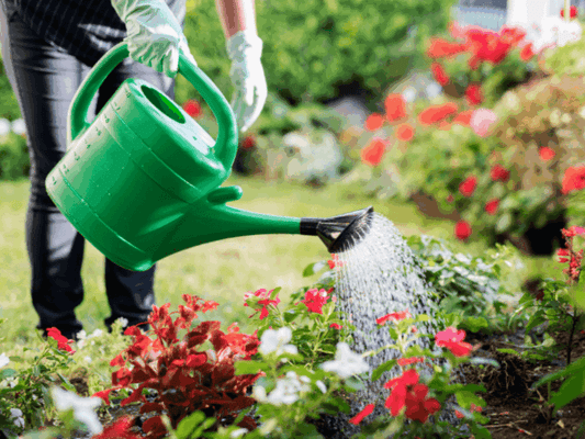 How to keep garden and pond thriving in drought conditions?H