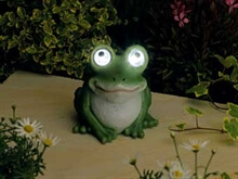 Frog solar light