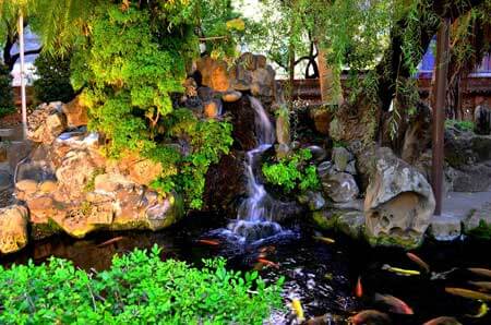 A garden pond featuring a waterfall meandering down rocks