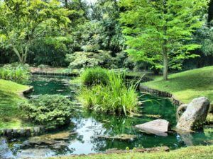 Irregular shaped ponds like this one are more difficult to calculate pond volume accurately