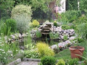 Established garden pond to inspire your own pond build plans.