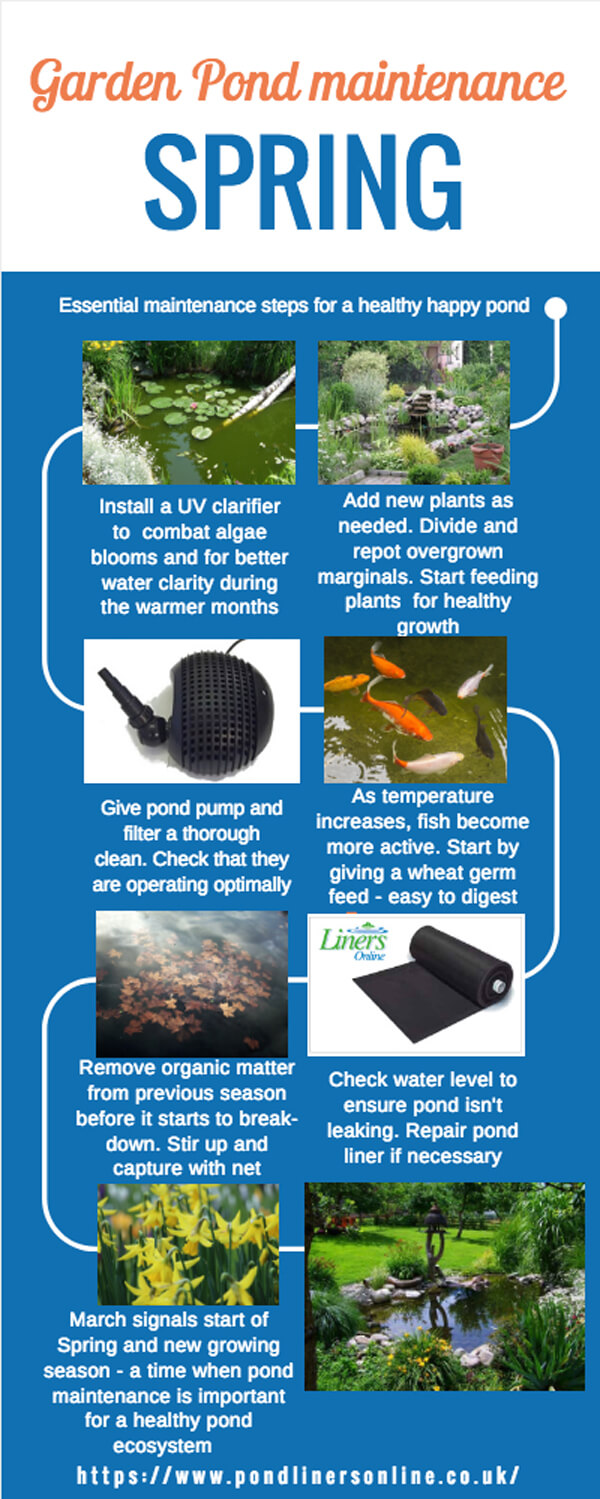 Spring pond maintenance checklist