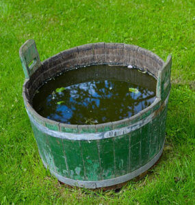 Wooden barrel that can be lined with a PVC pond liner to make a pond