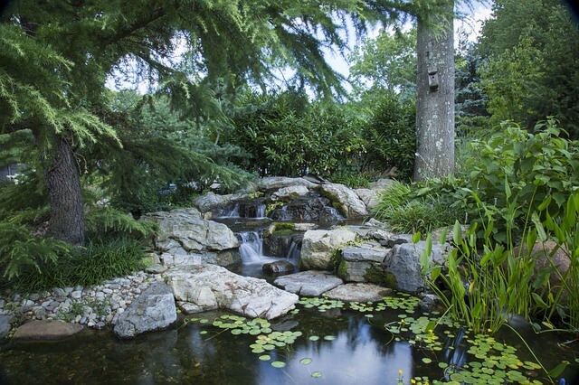 Large garden pond aerated by a stream and waterfall