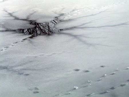 Fish pond frozen over in winter and a hole in ice is visible.