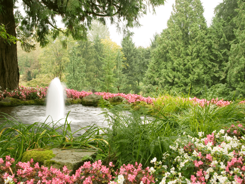 Fountain pond pumps create sounds and sights of calming tranquillity 